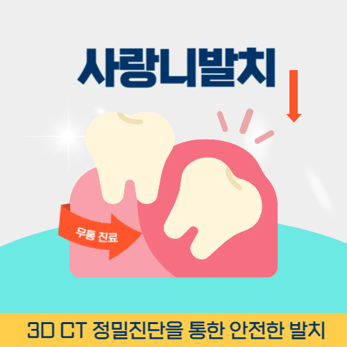 의정부치과 의정부시 치과 사랑니 발치